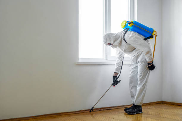 Best Best Pest Control Companies  in Liberal, KS