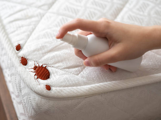 Best Affordable Pest Control Services  in Liberal, KS